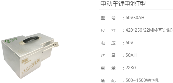 電(diàn)動車锂電(diàn)池T型詳情.png